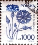 Sellos de Europa - Polonia -  Intercambio 0,50 usd 1000 z. 1989