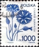 Stamps Poland -  Intercambio 0,50 usd 1000 z. 1989