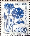 Stamps Poland -  Intercambio 0,50 usd 1000 z. 1989