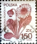 Stamps Poland -  Intercambio nfxb 0,20 usd 150 z. 1989
