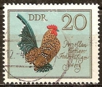 Sellos de Europa - Alemania -  Razas Avícolas. Porcelana color Pluma-pierna enano(DDR).