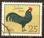 Stamps Germany -  Razas Avícolas.Pollo Sajonia(DDR).