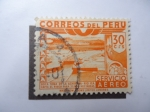 Stamps Peru -  Boca Toma de 22 Hectareas parea riego-Rio Ica.