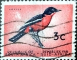 Stamps South Africa -  Intercambio 0,20 usd 3 cent. 1961