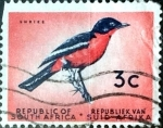 Stamps : Africa : South_Africa :  Intercambio 0,20 usd 3 cent. 1961