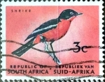 Sellos de Africa - Sud�frica -  Intercambio 0,20 usd 3 cent. 1961