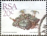 Stamps South Africa -  Intercambio 0,20 usd 20 cent. 1988
