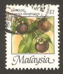 Sellos de Asia - Malasia -  346 - fruta garcinia mangostana