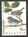 Stamps Malaysia -  623 - Pájaros de montaña, dicaeum celebicum 