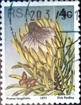 Stamps South Africa -  Intercambio 0,20 usd 4 cent. 1977