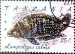 Stamps : Africa : Tanzania :  Intercambio aexa 0,90 usd  25 sh. 1992