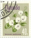 Stamps Africa - Uganda -  FLORA NATIVA. Ipomoea spathulata. YVERT UG 87