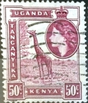 Stamps United Kingdom -  Intercambio nf4b 0,20 usd  50 cent. 1954