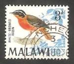 Stamps Africa - Malawi -  94 - Pájaro