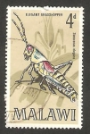 Sellos de Africa - Malawi -  123 - Insecto