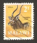 Stamps Africa - Malawi -  148 - Antilope tragelaphus angasi 