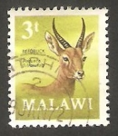 Stamps Africa - Malawi -  149 - Antílope