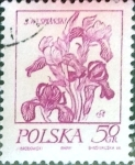 Stamps Poland -  Intercambio 0,20 usd 50 g. 1974