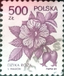 Stamps Poland -  Intercambio 0,25 usd 500 z. 1989