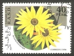 Stamps Morocco -  Sahara - Flor