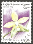 Stamps : Africa : Morocco :  Sahara - Flor