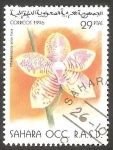 Sellos de Africa - Marruecos -  Sahara - Flor