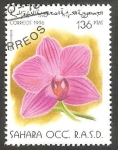 Stamps Morocco -  Sahara - Flor