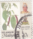 Sellos de Asia - Malasia -  PIPER NIGRUM- arbol de la pimienta