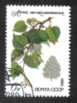 Stamps Russia -  Árboles y Arbustos Protegidos