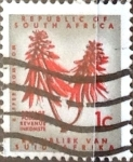Sellos de Africa - Sud�frica -  Intercambio 0,20 usd 1 cent. 1961