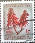Sellos de Africa - Sud�frica -  1 cent. 1961