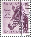 Stamps : Africa : South_Africa :  Intercambio 0,20 usd 2 p. 1954