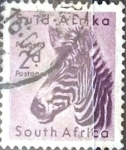 Sellos de Africa - Sud�frica -  Intercambio 0,20 usd 2 p. 1954