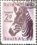 Sellos de Africa - Sud�frica -  Intercambio 0,20 usd 2 p. 1954