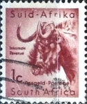 Stamps : Africa : South_Africa :  Intercambio 0,20 usd 1 cent. 1961