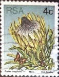 Stamps South Africa -  Intercambio 0,20 usd 4 cent. 1977