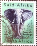 Sellos de Africa - Sud�frica -  Intercambio 0,20 usd 4 p. 1954