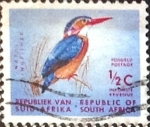 Stamps South Africa -  Intercambio aexa 0,20 usd 1/2 cent. 1961