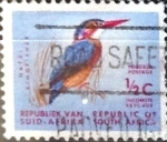 Stamps South Africa -  Intercambio 0,20 usd 1/2 cent. 1961