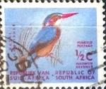 Stamps : Africa : South_Africa :  Intercambio nfxb 0,20 usd 1/2 cent. 1961
