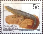 Stamps South Africa -  Intercambio cxrf 0,20 usd 5 cent. 1993