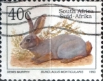 Sellos del Mundo : Africa : Sudáfrica :  Intercambio pxg 0,20 usd 40 cent. 1993
