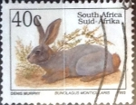 Sellos de Africa - Sud�frica -  Intercambio cxrf 0,20 usd 40 cent. 1993