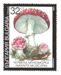 Stamps : Europe : Bulgaria :  Hongos