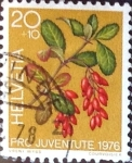 Stamps Switzerland -  Intercambio 0,20 usd 20 + 10 cent. 1976