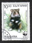 Stamps Bulgaria -  Hamsters