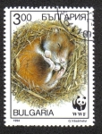 Stamps : Europe : Bulgaria :  Hamsters