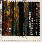 Stamps Germany -  Hayedos antigüos de Alemania - UNESCO