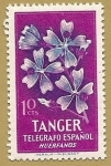 Sellos de Europa - Espa�a -  Telegrafos Tanger
