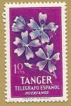 Stamps Spain -  Telegrafos Tanger